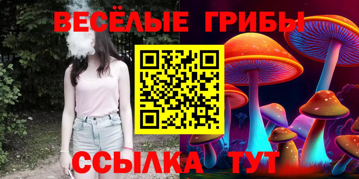 Галлюциногенные грибы мицелий  Вход с VPN  Галлюциногенные грибы Psilocybine cubensis  Старая Купавна 