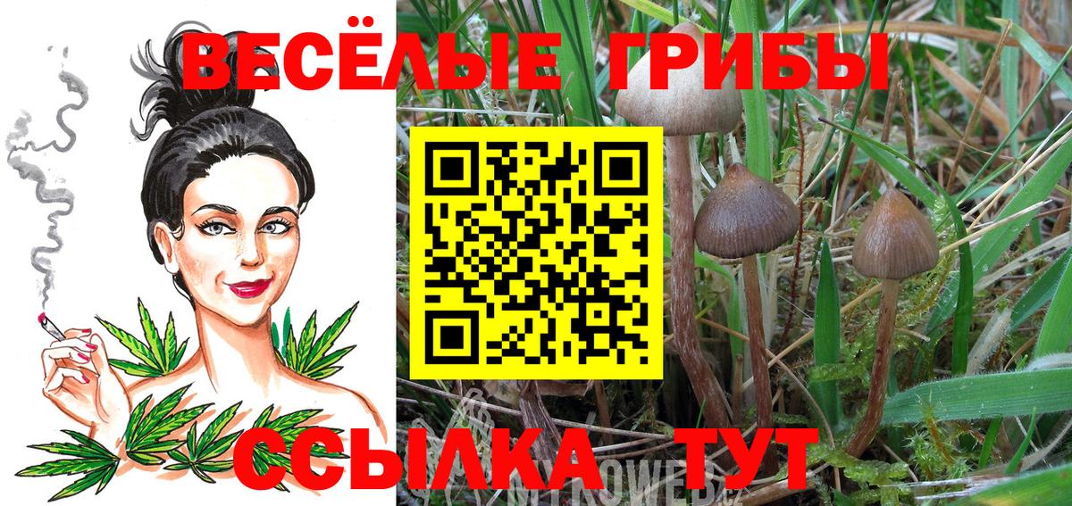 Галлюциногенные грибы ЛСД Старая Купавна